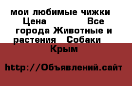 мои любимые чижки › Цена ­ 15 000 - Все города Животные и растения » Собаки   . Крым